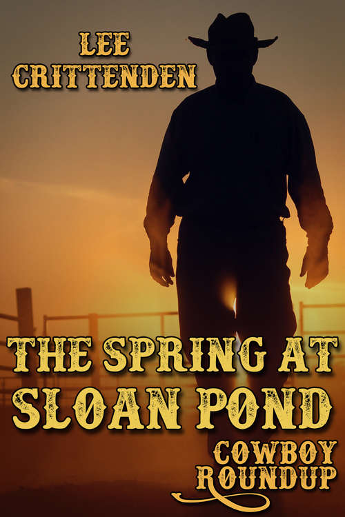 Book cover of The Spring at Sloan Pond