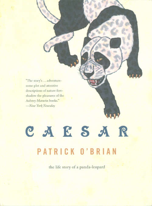 Book cover of Caesar: The Life Story Of A Panda-leopard