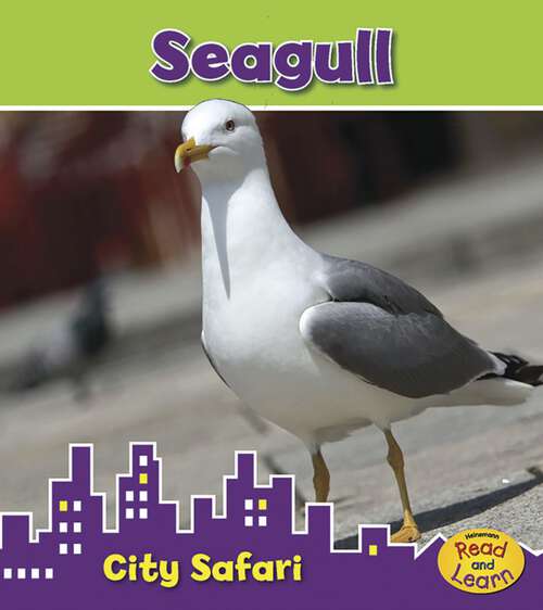 Book cover of Seagull: City Safari (City Safari Ser.)
