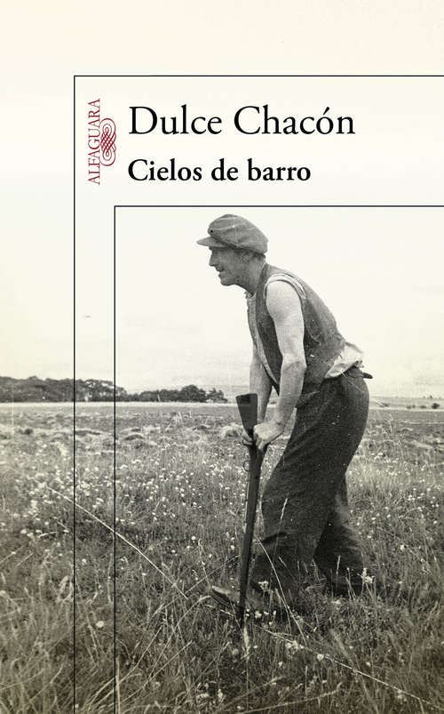 Book cover of Cielos de barro