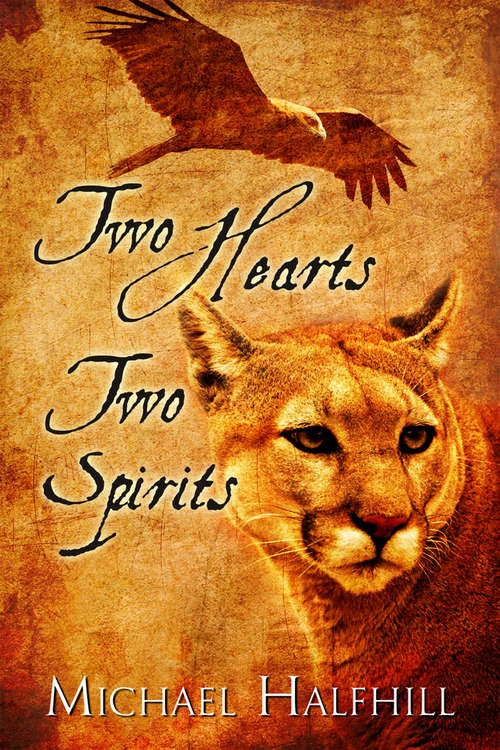 Book cover of Two Hearts Two Spirits
