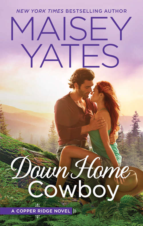 Book cover of Down Home Cowboy: A Western Romance Novel