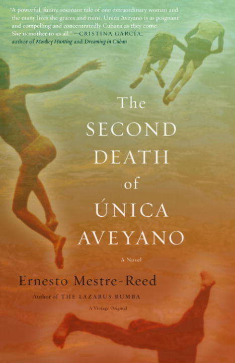 Book cover of The Second Death of Unica Aveyano