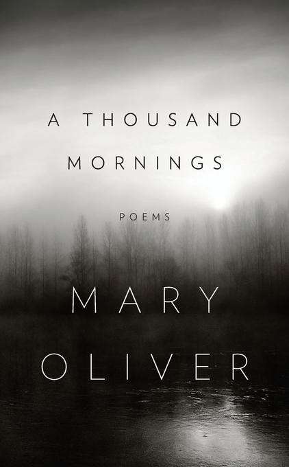 Book cover of A Thousand Mornings