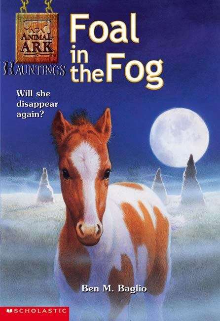 Book cover of Foal in the Fog (Animal Ark Hauntings #5)