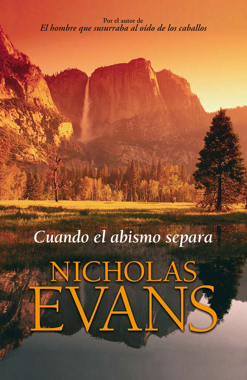 Book cover of Cuando el abismo separa