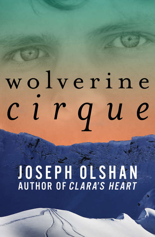 Book cover of Wolverine Cirque