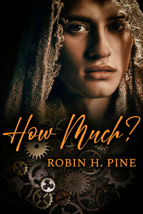 Book cover of How Much?