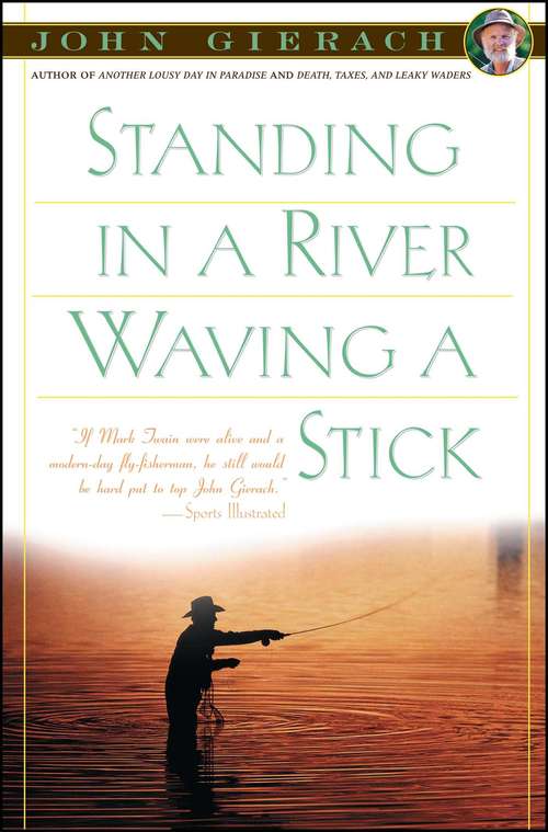 Book cover of Standing in a River Waving a Stick