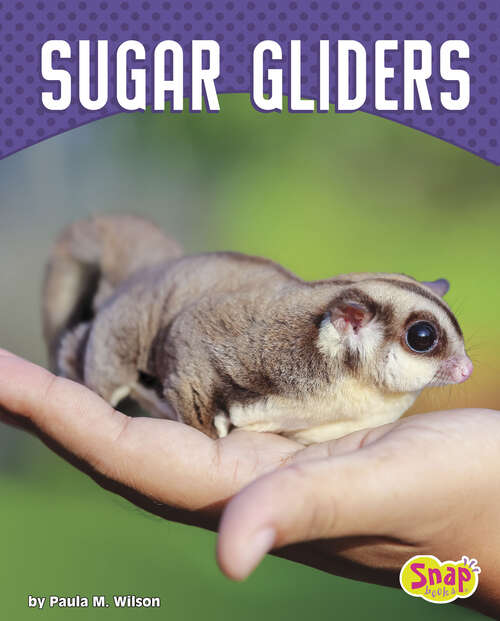 Book cover of Sugar Gliders (Cute And Unusual Pets Ser.)