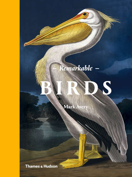 Book cover of Remarkable Birds