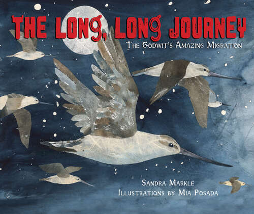 Book cover of The Long, Long Journey: The Godwit’s Amazing Migration