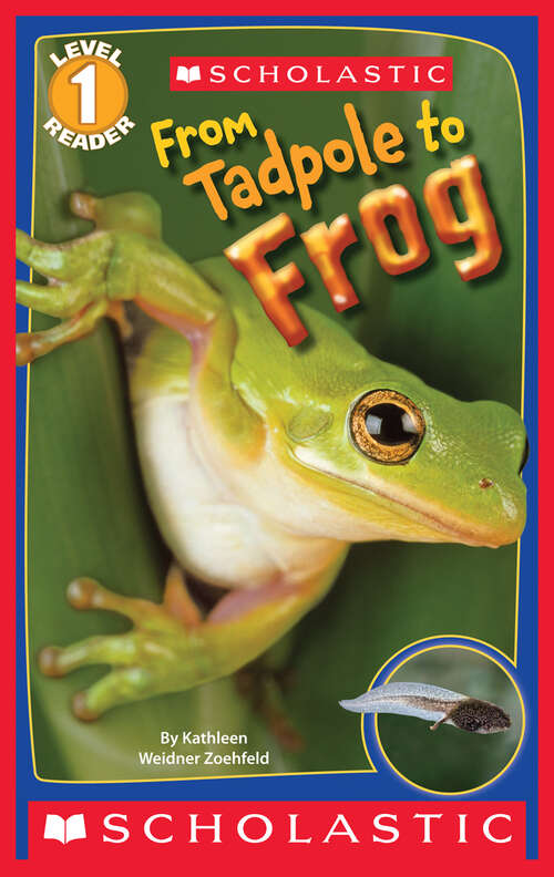 Book cover of From Tadpole to Frog (Scholastic Reader, Level 1)