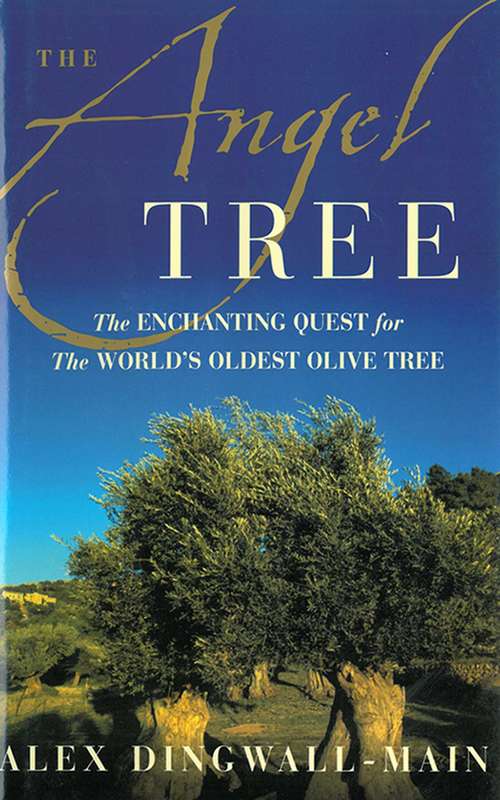 Book cover of The Angel Tree