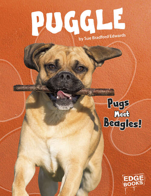 Book cover of Puggle: Pugs Meet Beagles! (Top Hybrid Dogs Ser.)