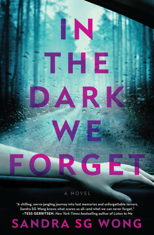 Book cover of In the Dark We Forget: A Novel