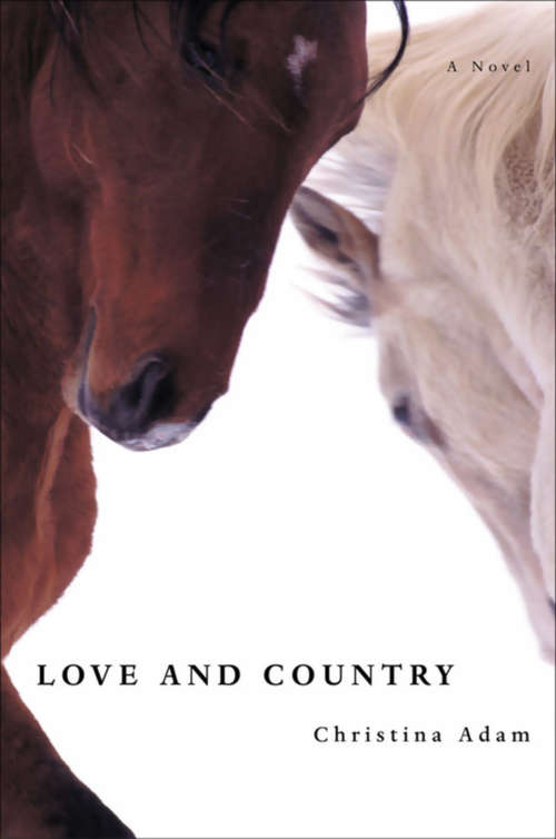 Book cover of Love and Country: A Novel