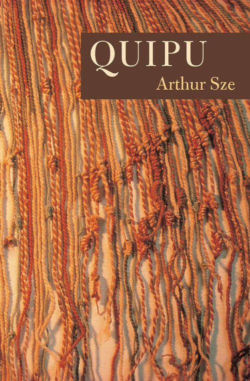 Book cover of Quipu