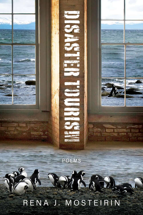 Book cover of Disaster Tourism