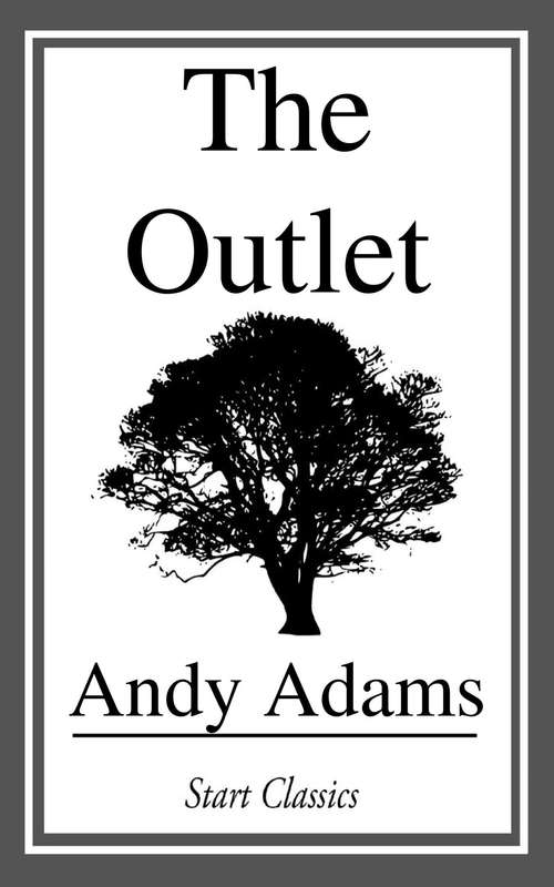 Book cover of The Outlet