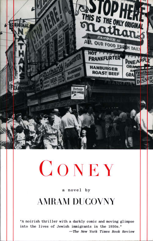 Book cover of Coney