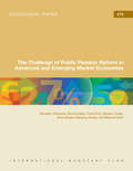 The Challenge of Public Pension Reform in Advanced and Emerging Market Economies