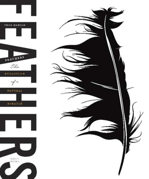 Book cover of Feathers: The Evolution of a Natural Miracle