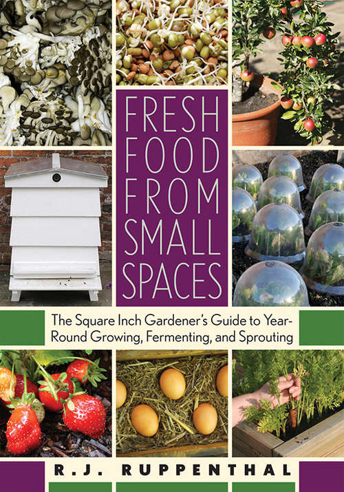 Book cover of Fresh Food from Small Spaces