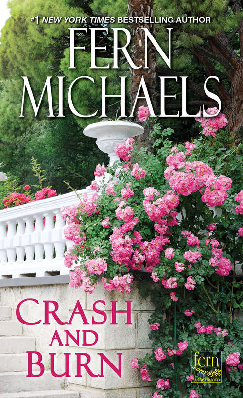 Book cover of Crash and Burn (Sisterhood #27)