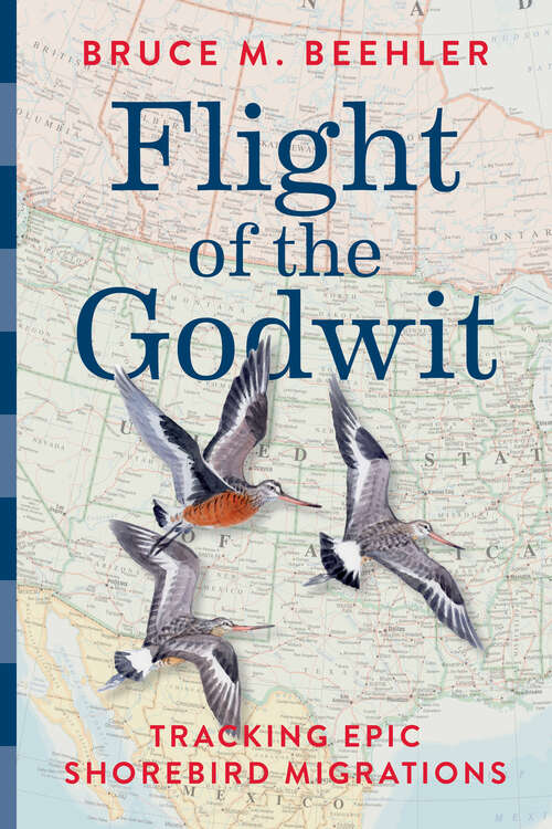 Book cover of Flight of the Godwit: Tracking Epic Shorebird Migrations