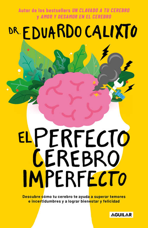 Book cover of El perfecto cerebro imperfecto