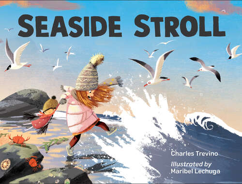 Book cover of Seaside Stroll