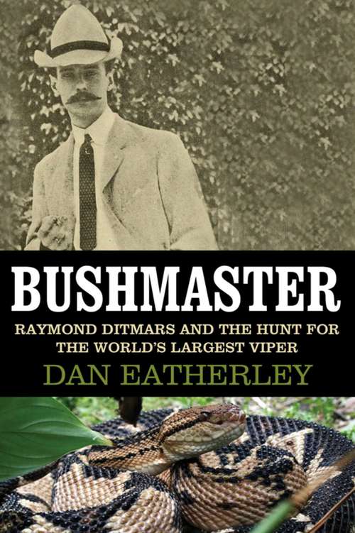 Book cover of Bushmaster
