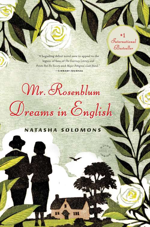 Book cover of Mr. Rosenblum Dreams in English