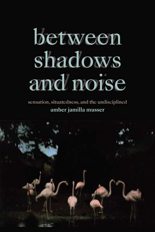 Book cover of Between Shadows and Noise: Sensation, Situatedness, and the Undisciplined