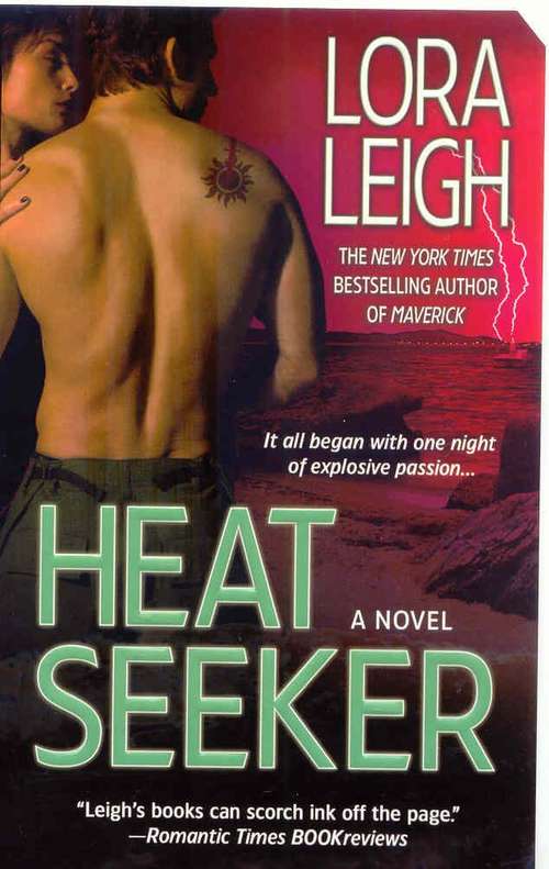 Book cover of Heat Seeker (Elite Ops #3)
