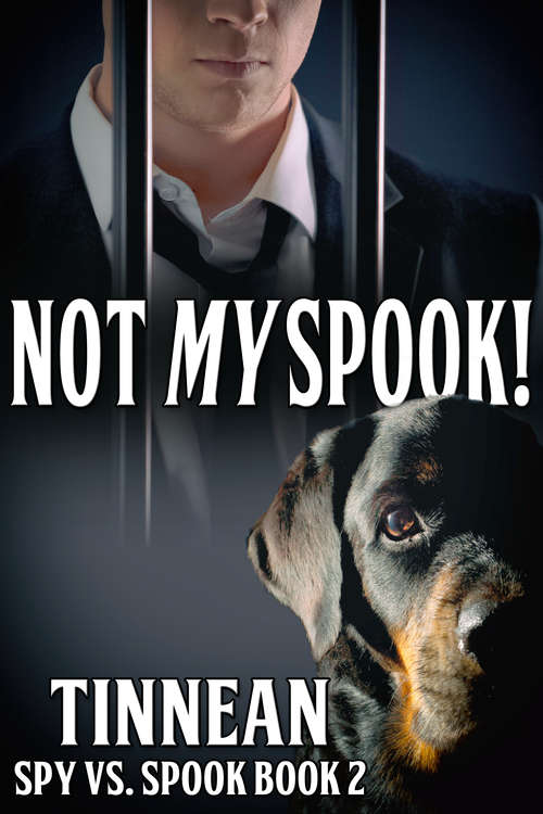 Book cover of Not My Spook (Spy vs. Spook #2)