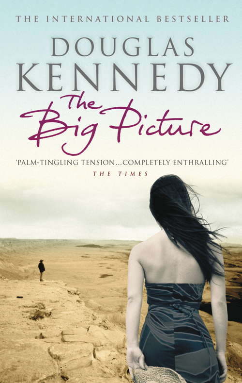 Book cover of The Big Picture (1)