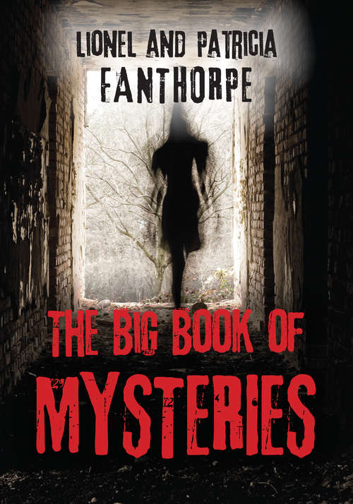 Book cover of The Big Book of Mysteries