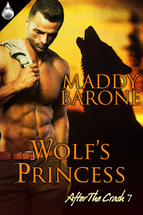 Book cover of Wolf's Princess
