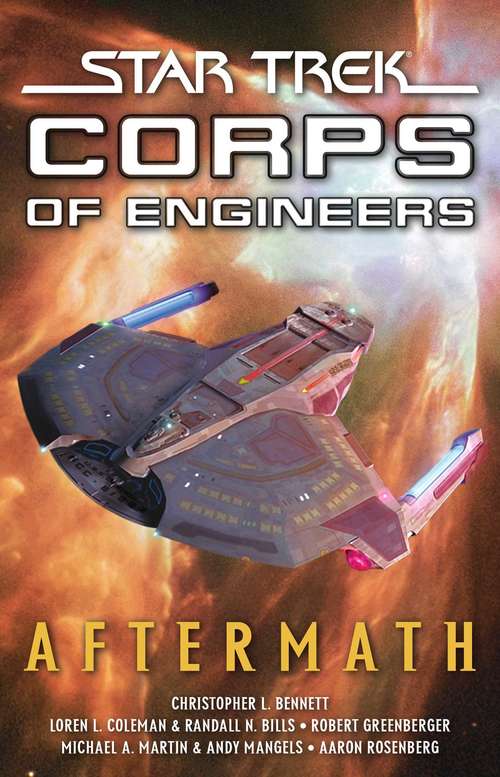 Star Trek: Aftermath (Star Trek: Starfleet Corps of Engineers #No. 2)