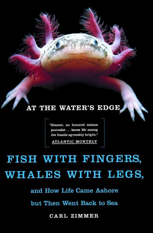 Book cover of At the Water's Edge: Fish with Fingers, Whales with Legs, and How Life Came Ashore but Then Went Back to Sea