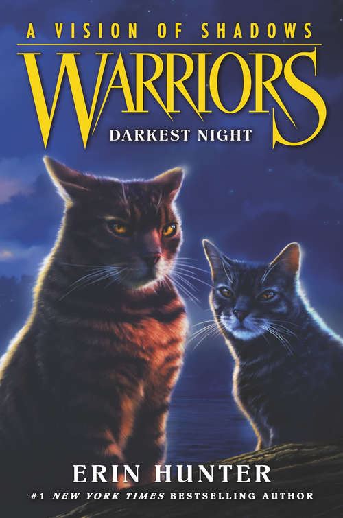 Book cover of Warriors: Darkest Night (4) (Warriors: A Vision of Shadows #4)