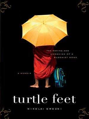 Book cover of Turtle Feet