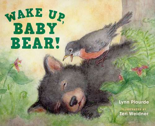 Book cover of Wake Up, Baby Bear!