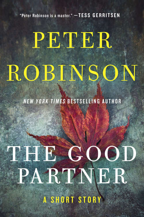 Book cover of The Good Partner