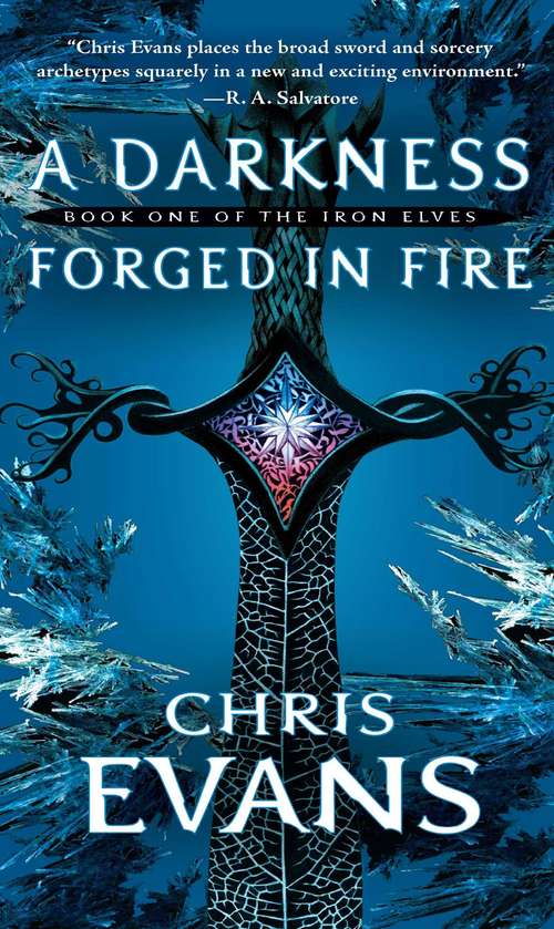 Book cover of A Darkness Forged in Fire