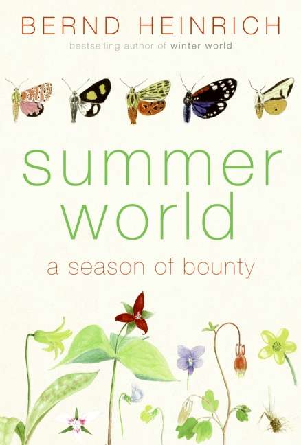 Book cover of Summer World