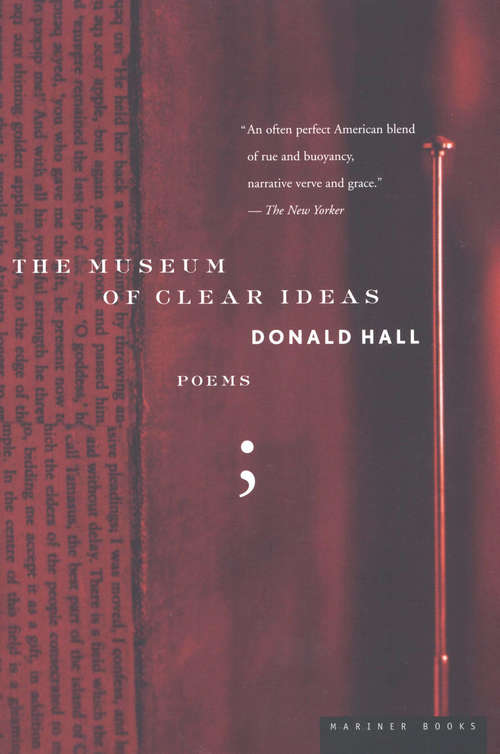 Book cover of The Museum of Clear Ideas