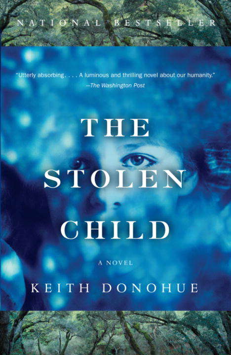 Book cover of The Stolen Child